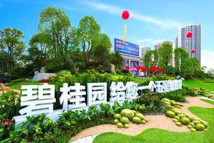 园洲碧桂园爆料最新消息,揭秘项目进展与亮点