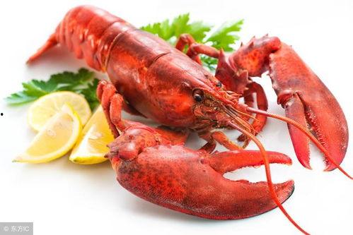 龙虾最新爆料新闻视频,揭秘幕后真相，视频曝光惊人内幕